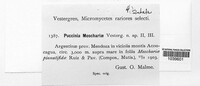 Puccinia moschariae image